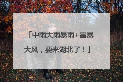 中雨大雨暴雨+雷暴大风，要来湖北了！